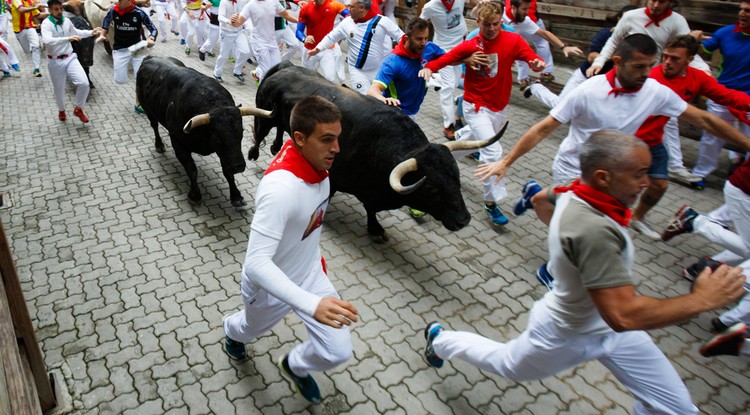 Pamplonai bikafuttatás fesztivál