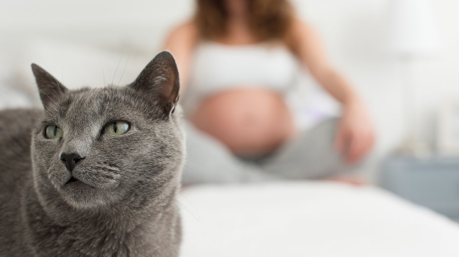 Toksoplazmoza w ciąży - świeże zakażenie może mieć poważne konsekwencje, nie lekceważ jej!