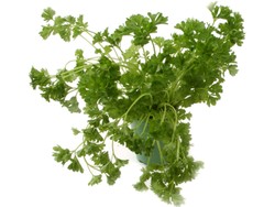 Jedz żelazo, póki gorące...