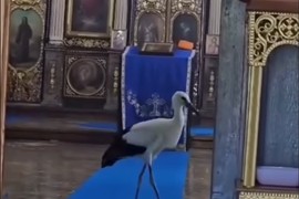 Roda ušla u hram u Idvoru
