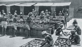 Indie. Do cna wyzyskana perła