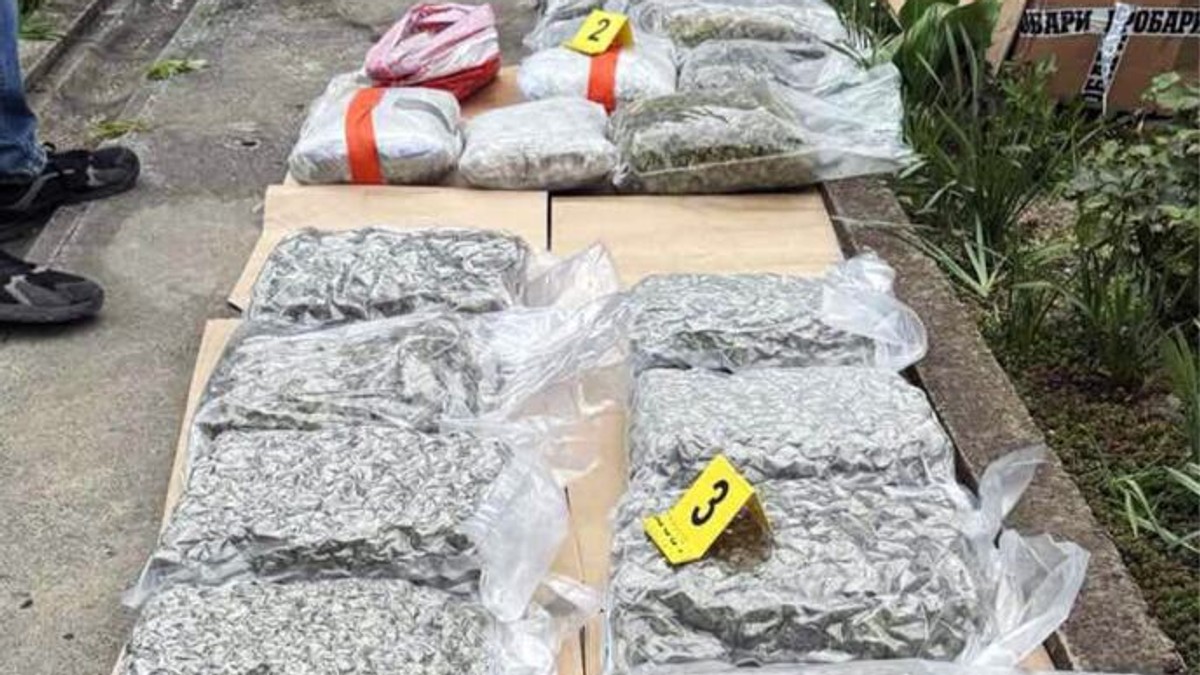 MLADIĆU IZ KIKINDE ODREĐEN PRITVOR Policija pronašla 14 kilograma marihuane: Sumnja se da je bila namenjena za dalju prodaju