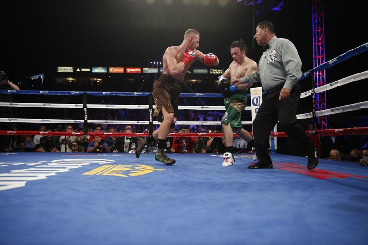 Fonfara wygrał z Chavezem Jr. przez techniczny nokaut