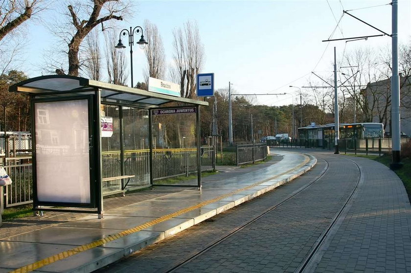 Tramwaje wracają na stare trasy