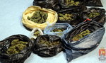 Policjanci przejęli ponad trzy kilogramy marihuany