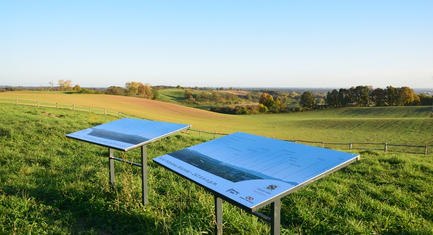 Z Wiszniaka rozciąga się widok na zielone pola, pobliskie wsie i okoliczne Wzgórza Trzebnickie, a przy dobrej pogodzie dostrzeżesz nawet Sudety w oddali. 