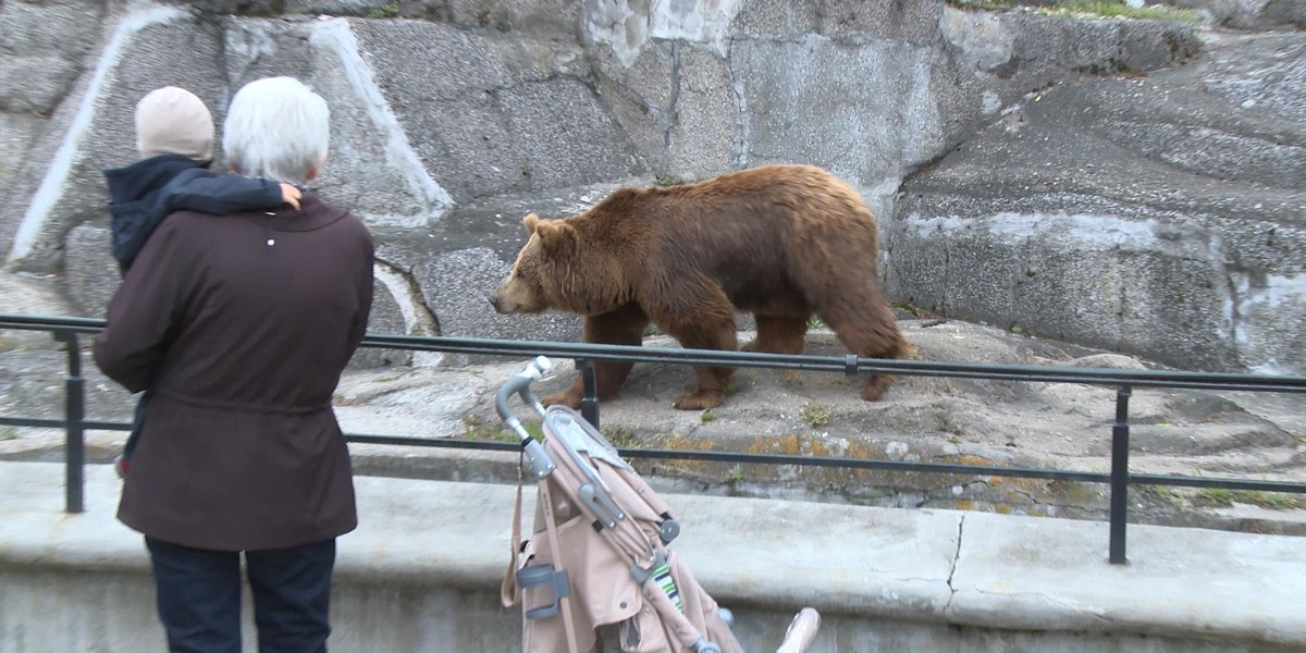 Mrożące krew w żyłach sceny w warszawskim zoo