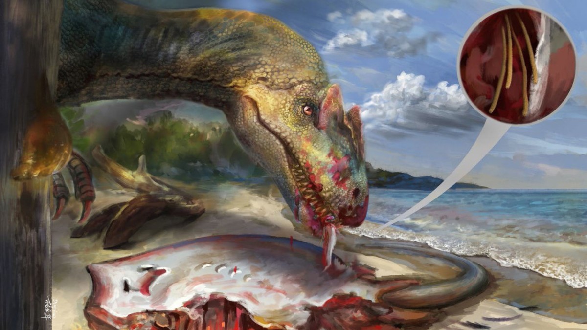 Ez a felfedezés már a Jurassic Parkot idézi: ősi parazitát találtak egy 99 millió éves borostyánba zárva