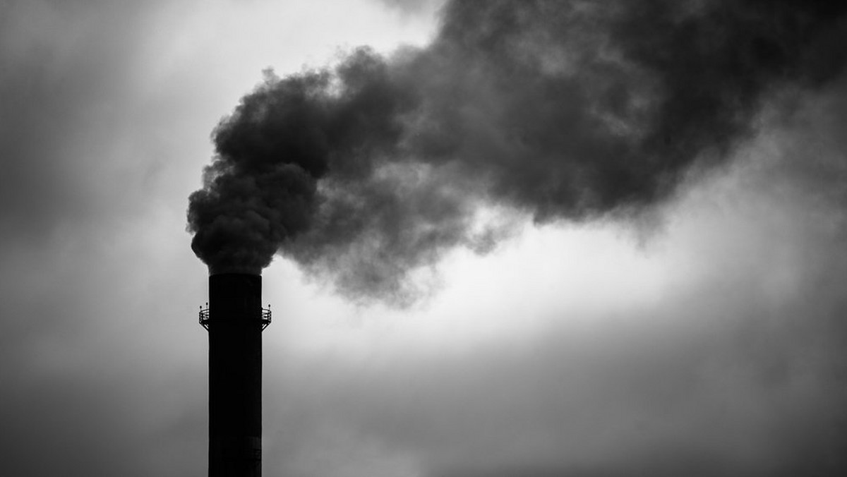 Główny Inspektorat Ochrony Środowiska opublikował coroczny raport o stanie zanieczyszczenia powietrza w Polsce. Dane za rok 2014 niestety po raz kolejny pokazują, że jesteśmy tutaj w niechlubnej czołówce. Sporym problemem jest stopień zanieczyszczenia rakotwórczym benzo(a)pirenem, który "króluje" zwłaszcza w mniejszych miastach.