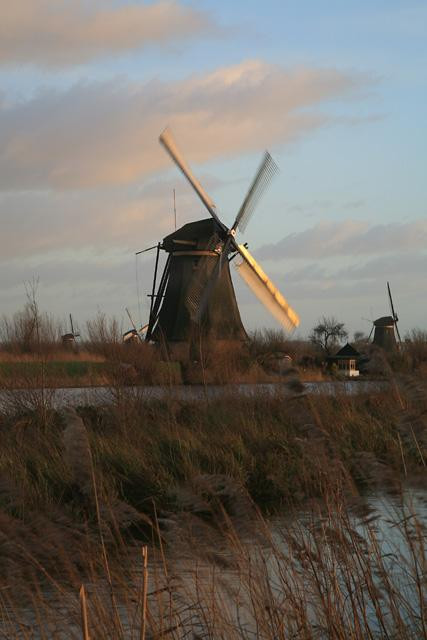 Galeria Holandia - Kinderdijk, obrazek 8