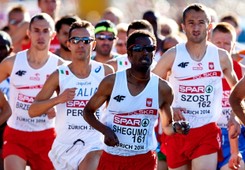 Mamy już 11 medali! Yared Shegumo zdobył dla Polski srebro w maratonie