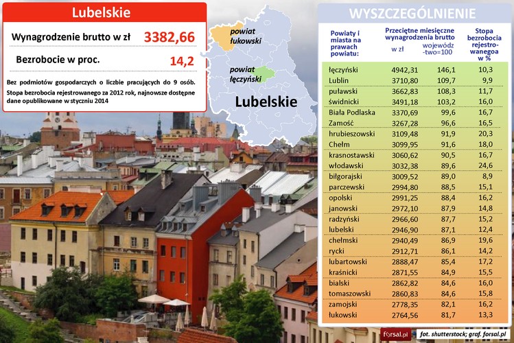 Najjaśniej świecącym punktem w woj. lubelskim jest powiat łęczyński. Średnie wynagrodzenie w tym okręgu znacznie przewyższa średnią dla województwa i wynosi 4942 zł, podczas gdy dla całego woj. lubelskiego wartość ta wynosi jedynie 3383 zł brutto. Przyczyna takich dysproporcji jest oczywista – powiat łęczyński jest terenem bogatym w węgiel kamienny. We wsi Bogdanka koło Łęcznej, niedaleko Lublina, znajduje się kopalnia Bogdanka. Obecnie zatrudnia ok. 4700 pracowników i wydobywa kwartalnie 2,11 mln ton węgla. W 2012 r. jej przychody wyniosły 1,8 mld zł, a zysk netto 290 mln zł. LW Bogdanka wydobyła w 2013 r. 8,35 mln ton węgla, co stanowi wzrost o 7,3 proc. Zarobki w 2012 wzrosły o 7 proc., do prawie 6800 zł brutto. Inne surowce intensywnie wydobywane na obszarze województwa to wapienie, opoki i margle.
