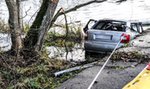 Straszna śmierć młodych ludzi. Tragiczny wypadek w Lubuskiem