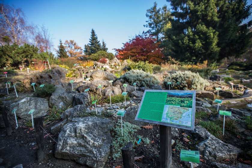 Ogród Botaniczny będzie czynny całą zimę