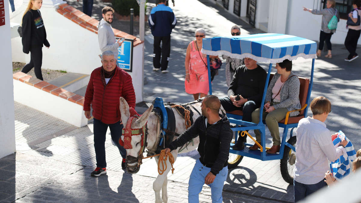 W prowincji Malaga na południu Hiszpanii zaostrzono przepisy dotyczące podróżowania oślimi taksówkami. Transportujące zazwyczaj turystów zwierzęta będą mogły częściej odpoczywać.
