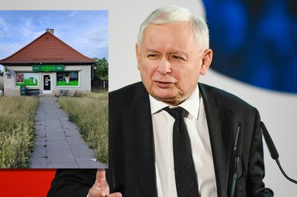 Jarosław Kaczyński chce przejąć Żabkę. To reaktywacja "warzywniaka plus"?