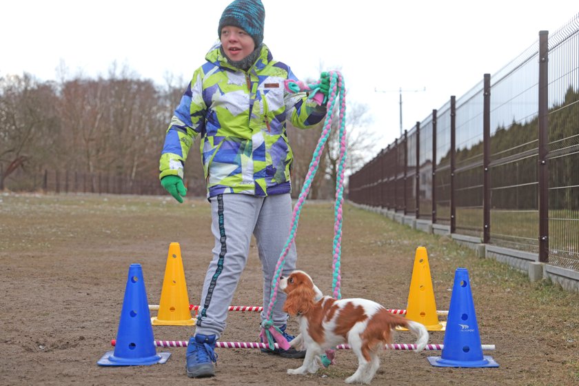 Suczka Abi uczy się być dogoterapeutką