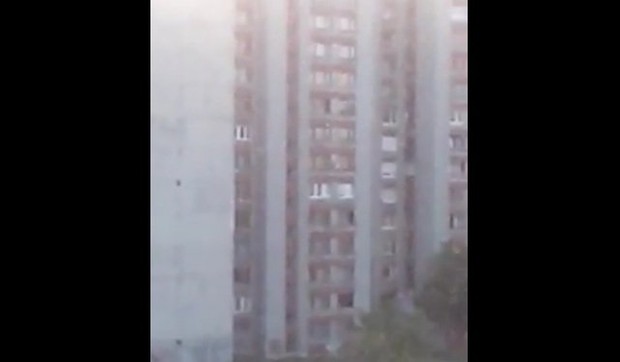 337508_musice-01