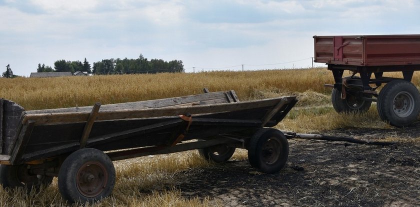 Próbował sam gasić płonące pole. 50-latek nie żyje