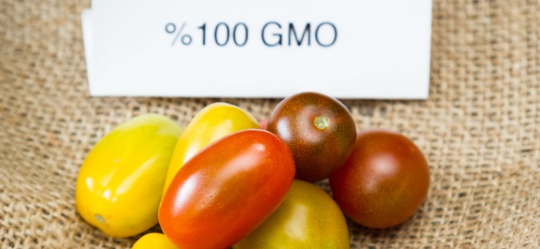 Jakie właściwości ma żywność GMO?