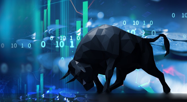 This market rally is on solid ground, according to Goldman Sachs.monsitj/Getty Images