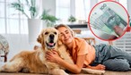 Pies kosztuje? Nie wszędzie! Sprawdź, kto zapłaci opłatę w 2026 roku
