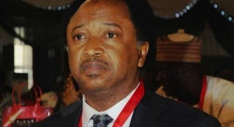 Shehu Sani has warned tourists not to visit Kajuru Castle in Kaduna for now due to recent killing and kidnapping of tourists at the centre. (Informationng) 