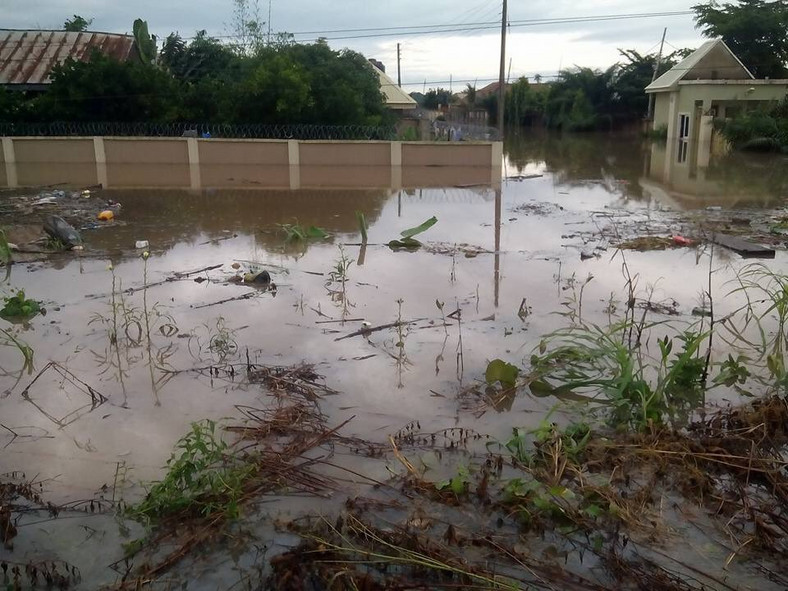 Buildings affected by flood.