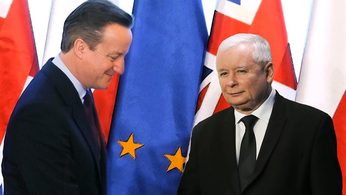 David Cameron Jarosław Kaczyński polityka PiS Prawo i Sprawiedliwość Polska Wielka Brytania