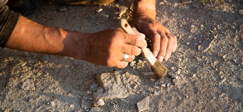 Focaccia starsza niż piramidy w Egipcie? Archeolodzy odkryli sekret neolitycznej kuchni