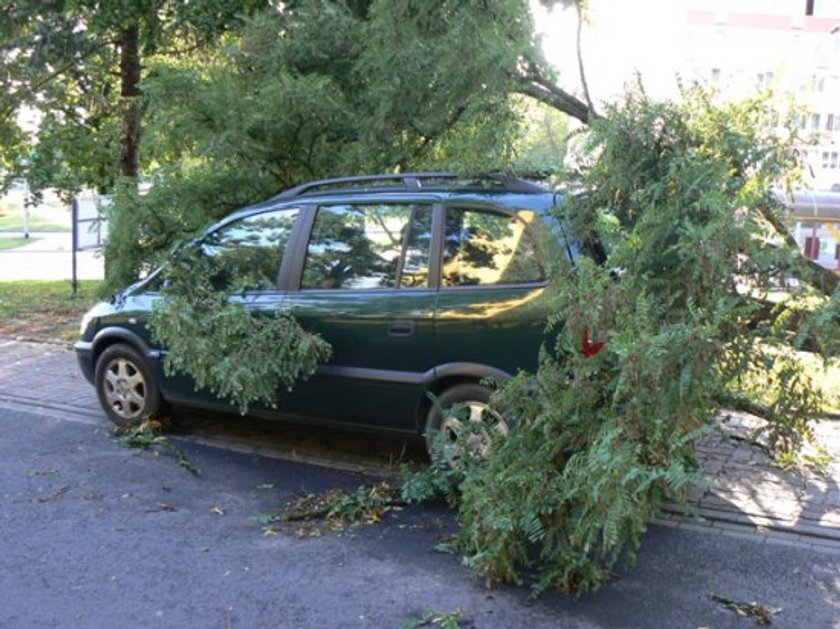 Wielkopolska spustoszona po niedzielnej nawałnicy