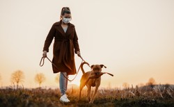 Czy w sylwestra po godzinie policyjnej można wyjść z psem? Policja wyjaśnia