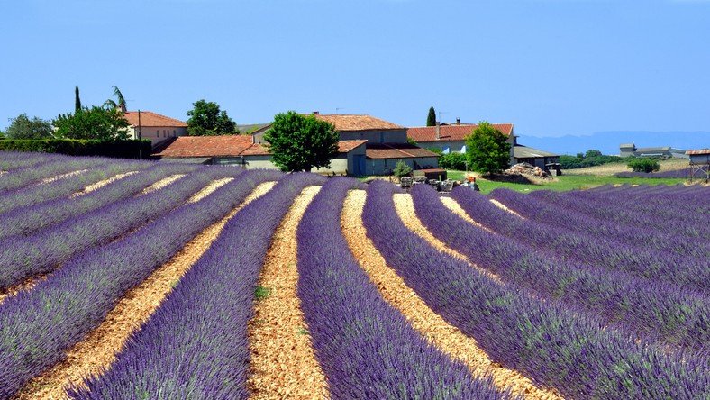 Francja - zabytki, atrakcje, ciekawe miejsca - Podróże