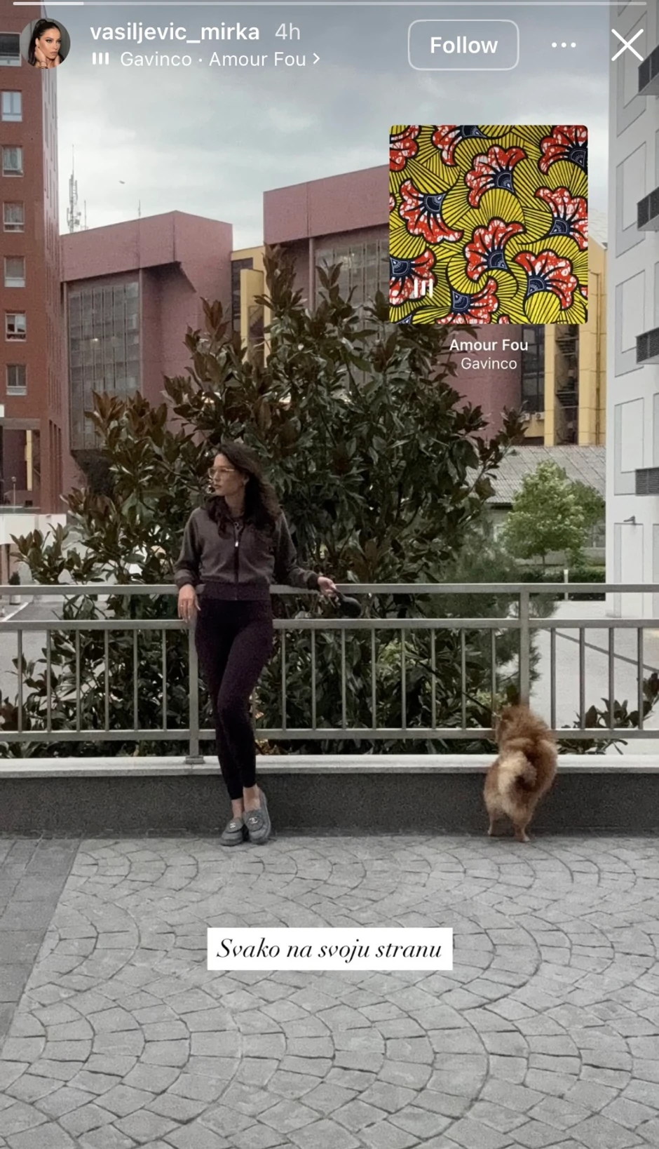 Mirka Vasiljević, objava