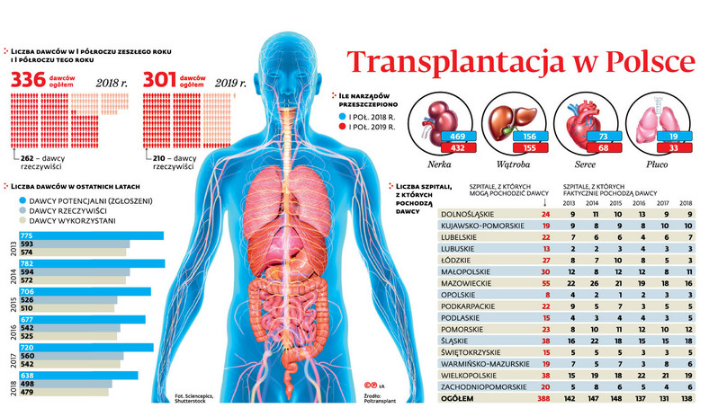Transplantacja w Polsce