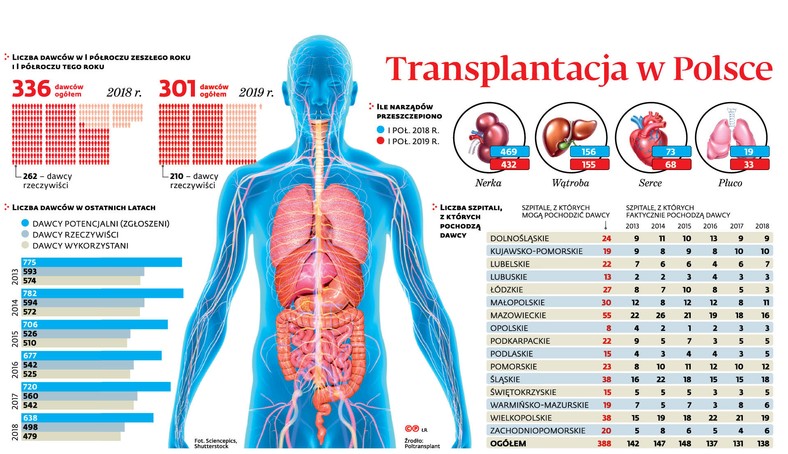 Transplantacja w Polsce