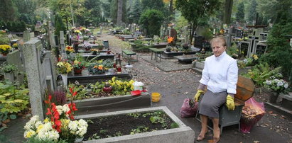 Nie będzie ławek na cmentarzu we Wrocławiu?