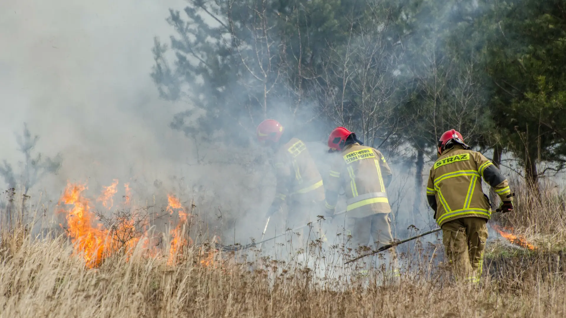 Rekordowa liczba pożarów w Polsce. "Z niepokojem czekamy na deszcz, który zatrzyma suszę"