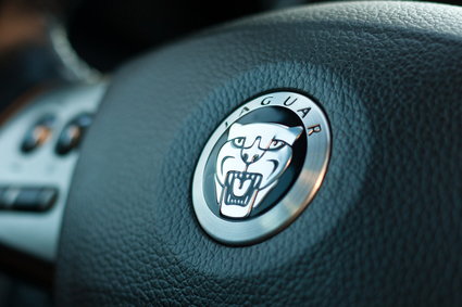 Polski importer Jaguara nie zmienia planów ws. dywidendy