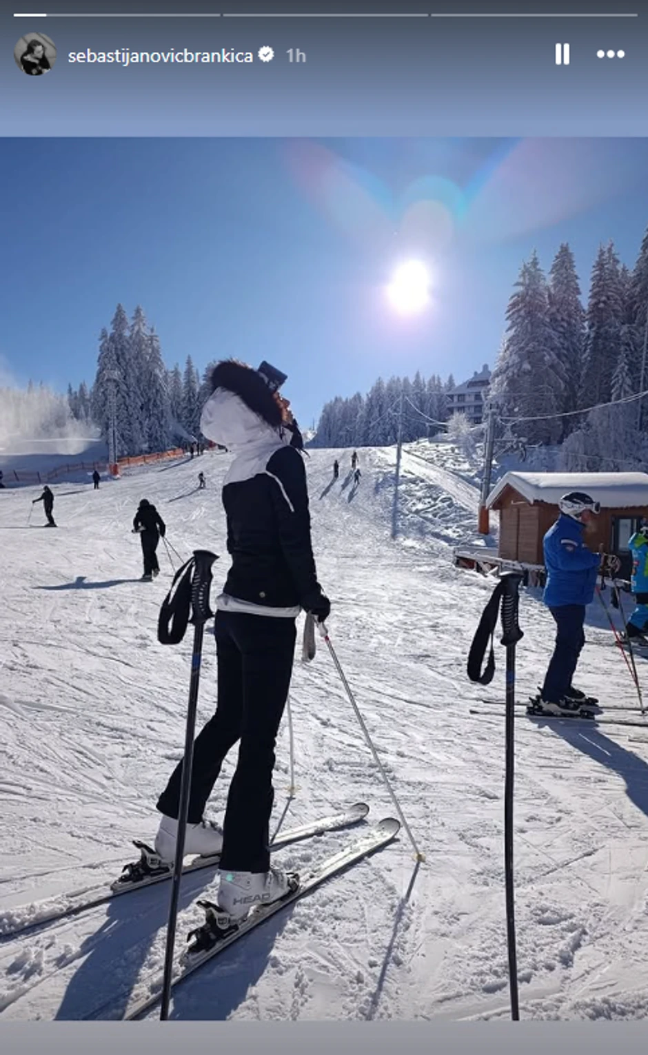 Brankica Sebastijanović