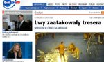 Lwy zaatakowały tresera. Wideo