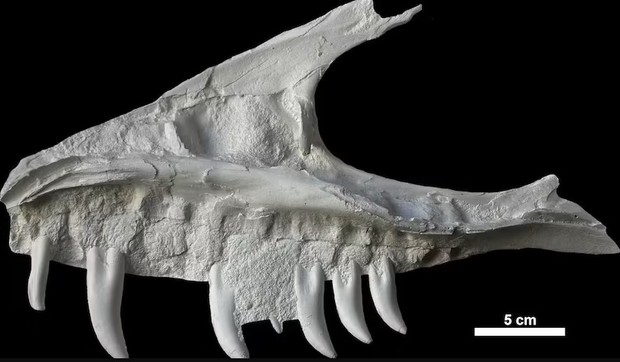 Dinosaurus