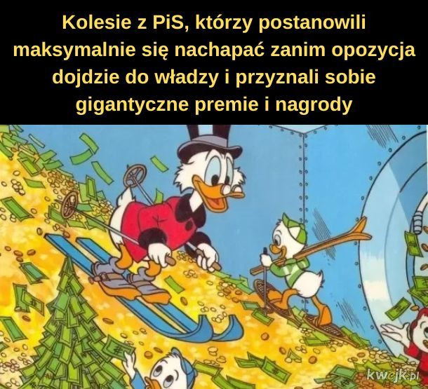 Mem polityczny