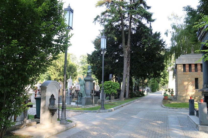 Izgled Aleje Velikana