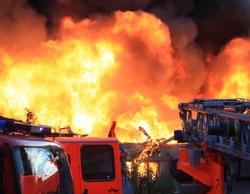 Wielki pożar chlewni. W ogniu zginęło 2,5 tysiąca świń