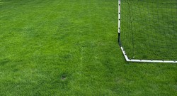 Jak często podlewać i kosić trawnik?