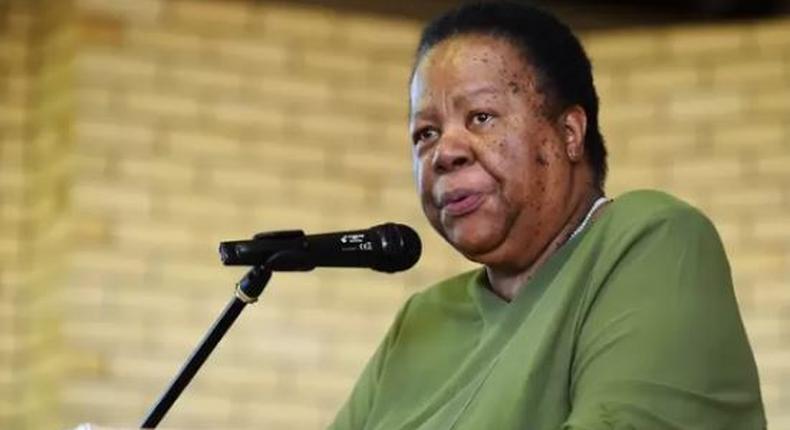 South African Minister International Relations and Cooperation, Naledi Pandor says  she believes that Nigerian nationals are involved in human trafficking and other abusive practices. (TheCable)