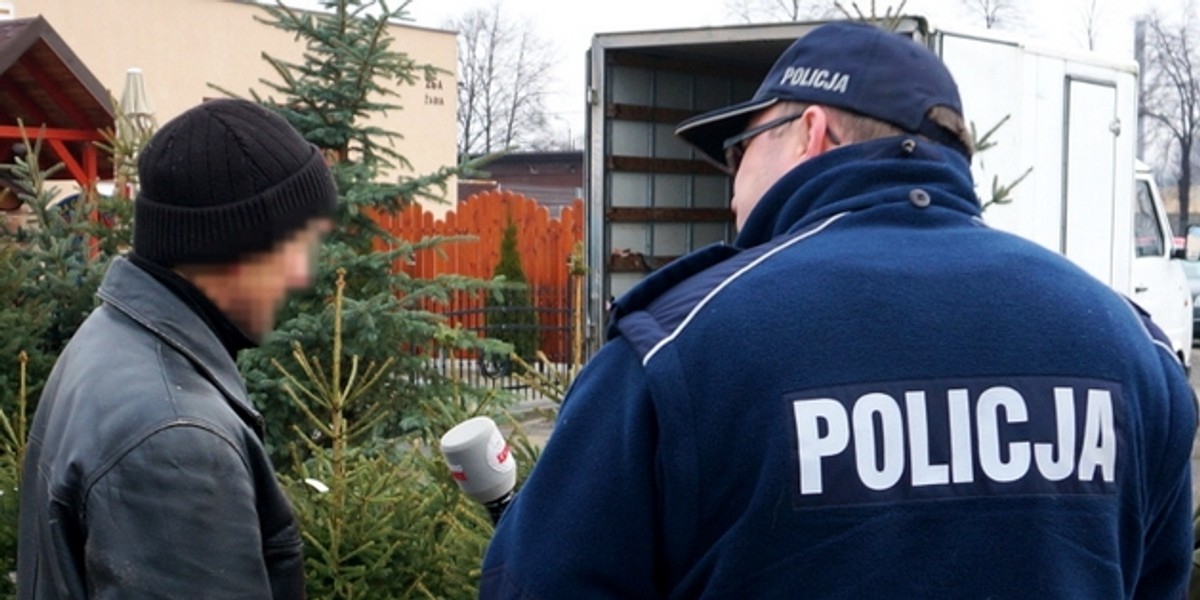 Policja i straż leśna pilnuje choinek