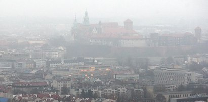 Zakażą palenia węglem w piecach