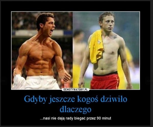 Ranking najpopularniejszych memów 2012